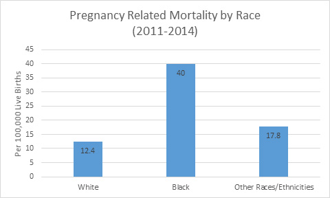 Pregnancy Related Mortality by Race