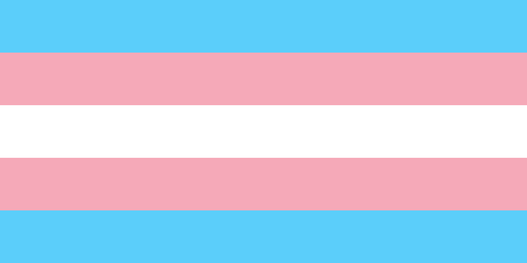 trans flag clothing