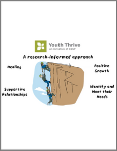 Youth Thrive Overview