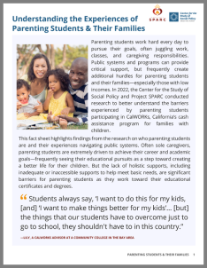 Understanding The Experiences Of Parenting Students And Their Families