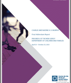 Cover Final Charlie And Nadine H Addendum Report For The Transition Period