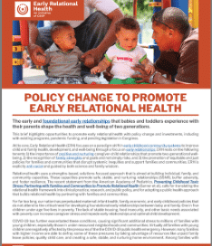 Small Cover Erh Policy Agenda Final