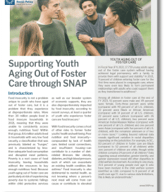 Supporting Youth Aging Out Of Foster Care Through Snap Small Cover